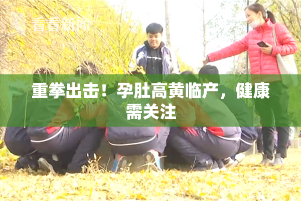 重拳出击！孕肚高黄临产，健康需关注