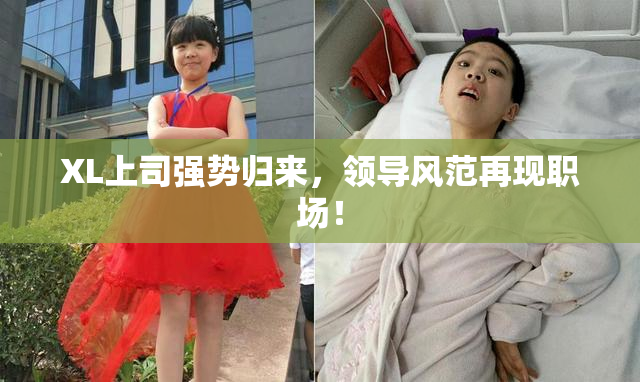 XL上司强势归来，领导风范再现职场！