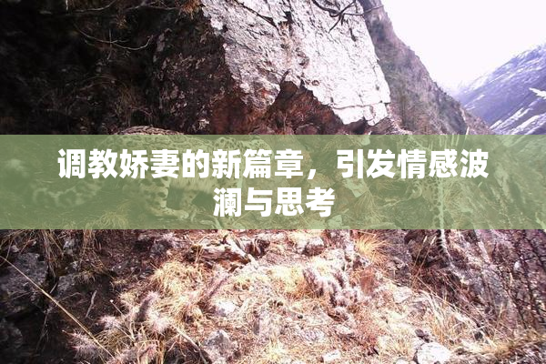 调教娇妻的新篇章，引发情感波澜与思考