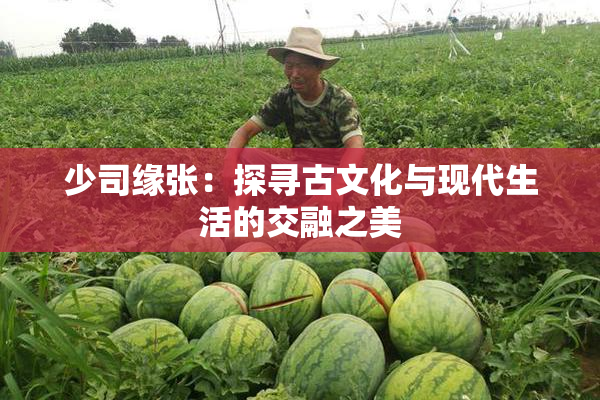 少司缘张：探寻古文化与现代生活的交融之美