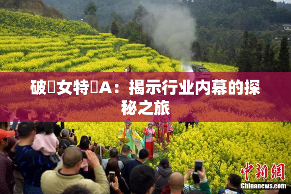 破處女特級A：揭示行业内幕的探秘之旅