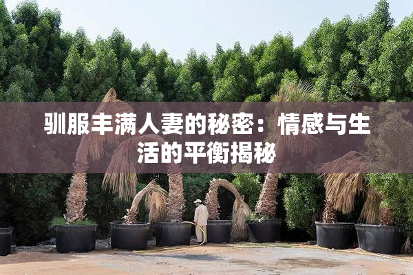 驯服丰满人妻的秘密：情感与生活的平衡揭秘