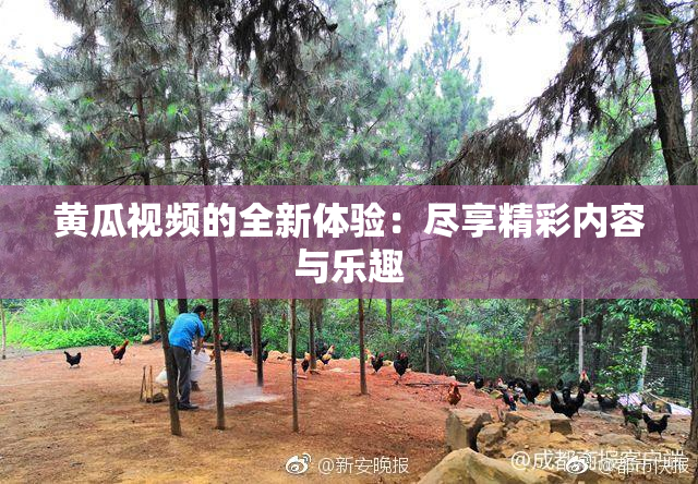 黄瓜视频的全新体验：尽享精彩内容与乐趣