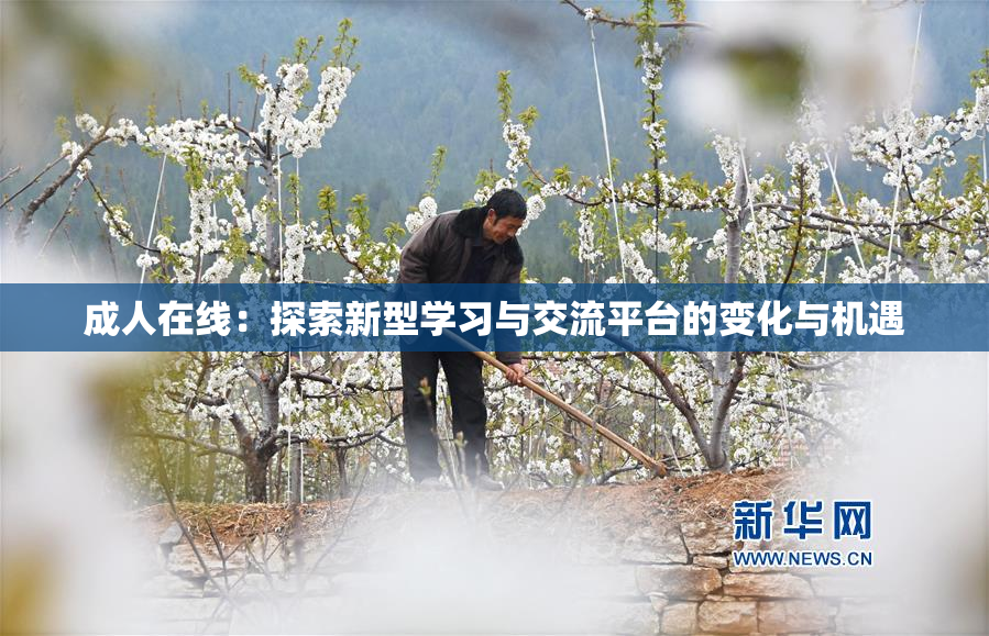 成人在线：探索新型学习与交流平台的变化与机遇