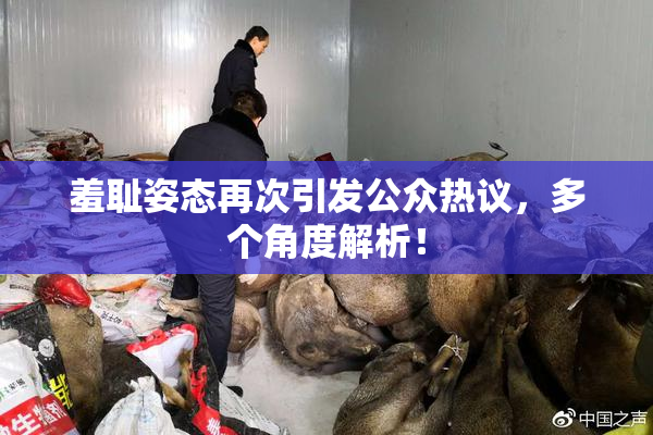 羞耻姿态再次引发公众热议，多个角度解析！