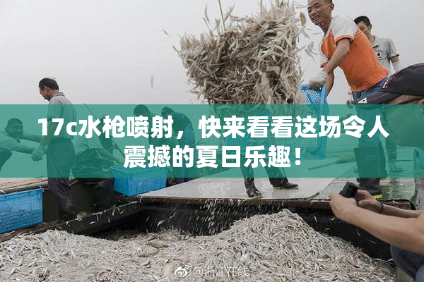 17c水枪喷射，快来看看这场令人震撼的夏日乐趣！