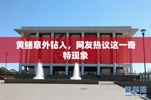 黄鳝意外钻入，网友热议这一奇特现象