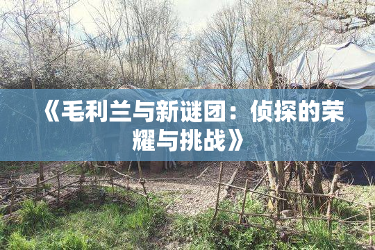 《毛利兰与新谜团：侦探的荣耀与挑战》