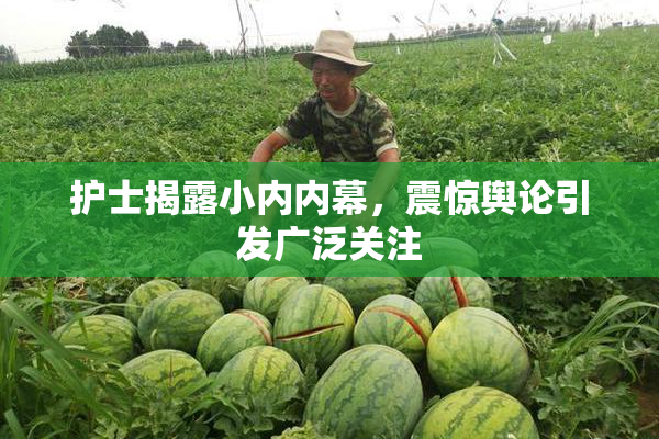 护士揭露小内内幕，震惊舆论引发广泛关注