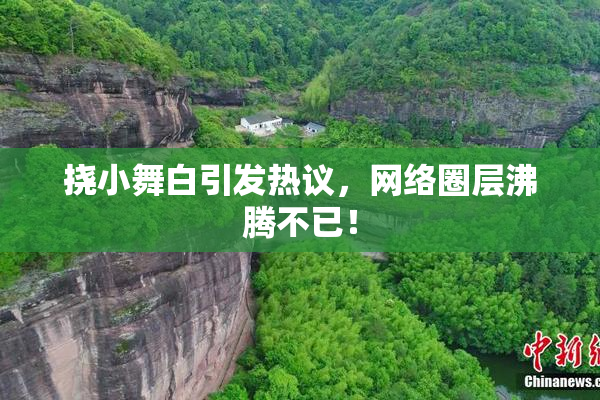 挠小舞白引发热议，网络圈层沸腾不已！