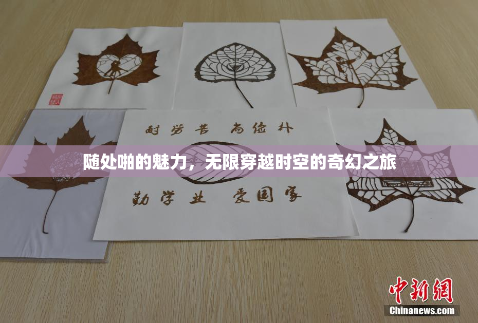 随处啪的魅力，无限穿越时空的奇幻之旅