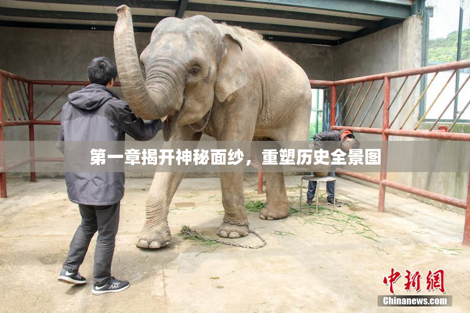 第一章揭开神秘面纱，重塑历史全景图