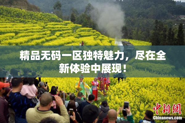 精品无码一区独特魅力，尽在全新体验中展现！