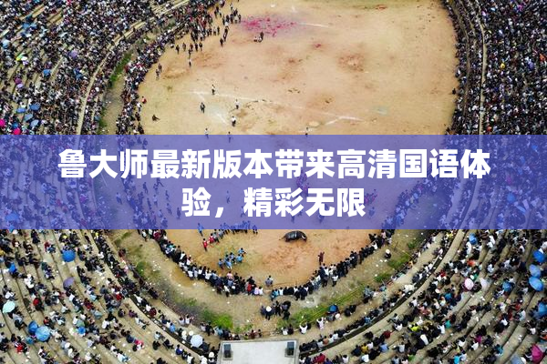 鲁大师最新版本带来高清国语体验，精彩无限