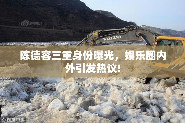 陈德容三重身份曝光，娱乐圈内外引发热议!