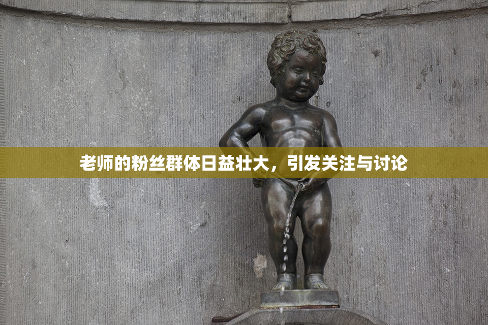 老师的粉丝群体日益壮大，引发关注与讨论