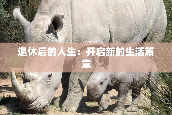 退休后的人生：开启新的生活篇章