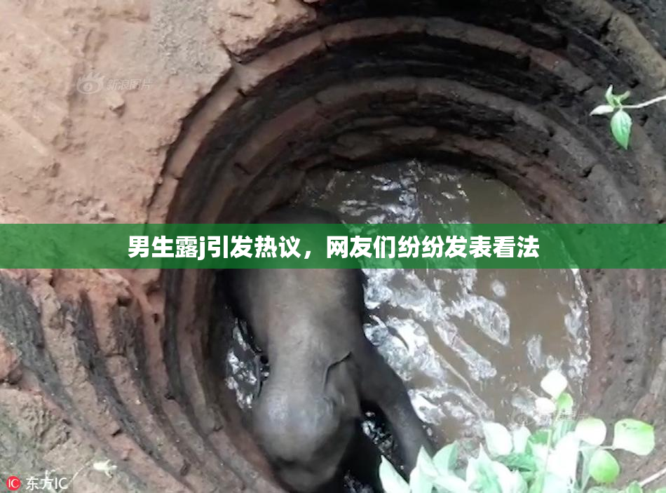 男生露j引发热议，网友们纷纷发表看法