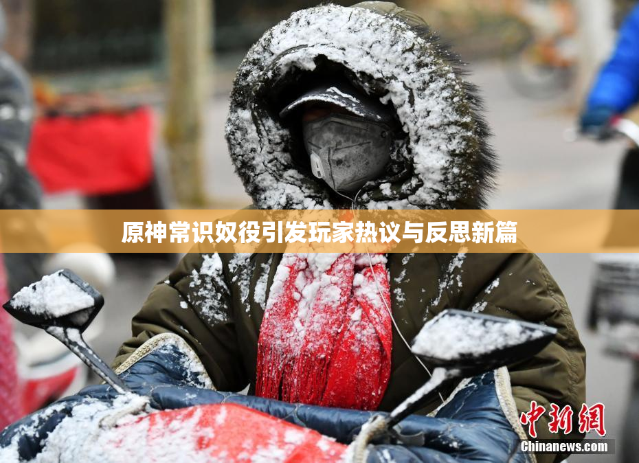 原神常识奴役引发玩家热议与反思新篇