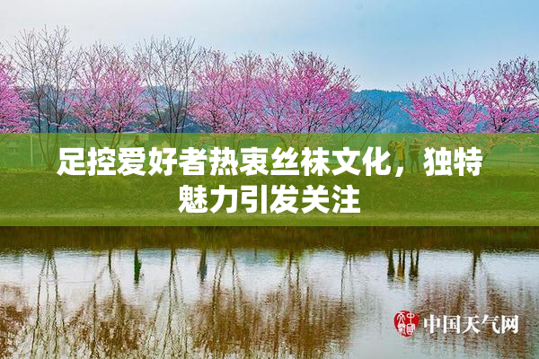 足控爱好者热衷丝袜文化，独特魅力引发关注