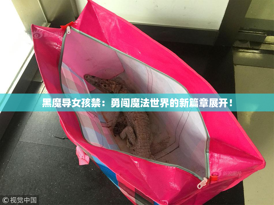 黑魔导女孩禁：勇闯魔法世界的新篇章展开！