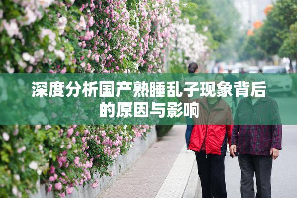 深度分析国产熟睡乱子现象背后的原因与影响