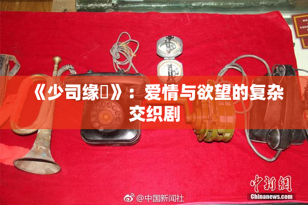 《少司缘婬》：爱情与欲望的复杂交织剧