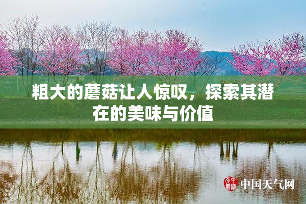 粗大的蘑菇让人惊叹，探索其潜在的美味与价值