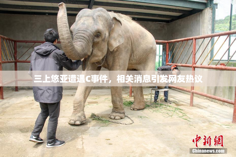 三上悠亚遭遇C事件，相关消息引发网友热议