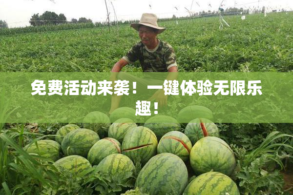 免费活动来袭！一键体验无限乐趣！