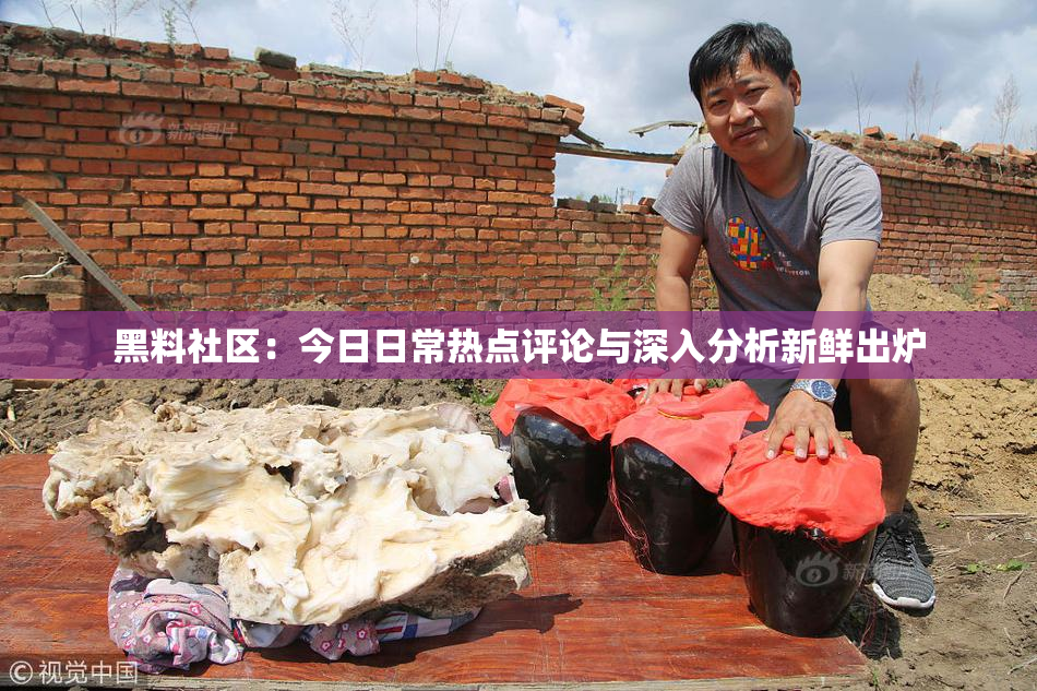 黑料社区：今日日常热点评论与深入分析新鲜出炉