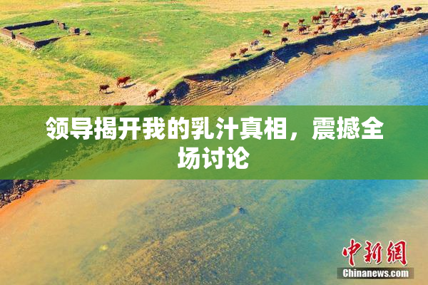 领导揭开我的乳汁真相，震撼全场讨论