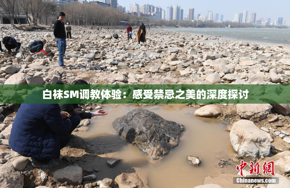白袜SM调教体验：感受禁忌之美的深度探讨