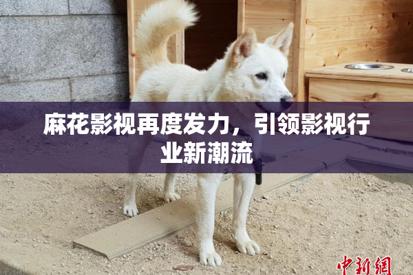 麻花影视再度发力，引领影视行业新潮流