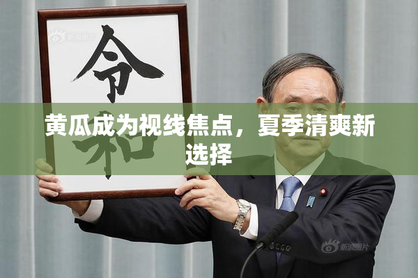 黄瓜成为视线焦点，夏季清爽新选择
