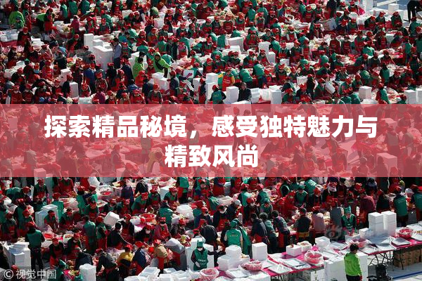 探索精品秘境，感受独特魅力与精致风尚