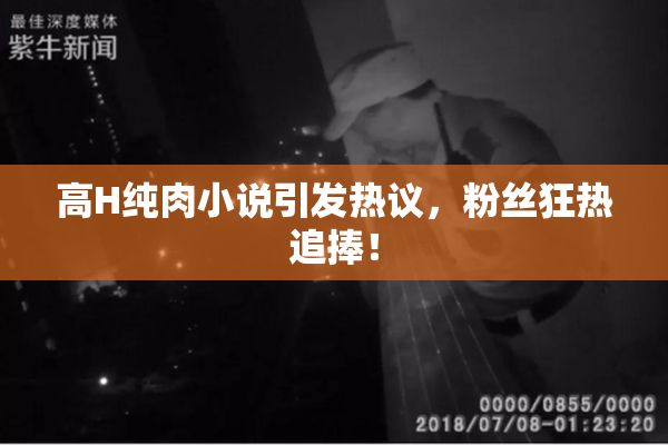 高H纯肉小说引发热议，粉丝狂热追捧！