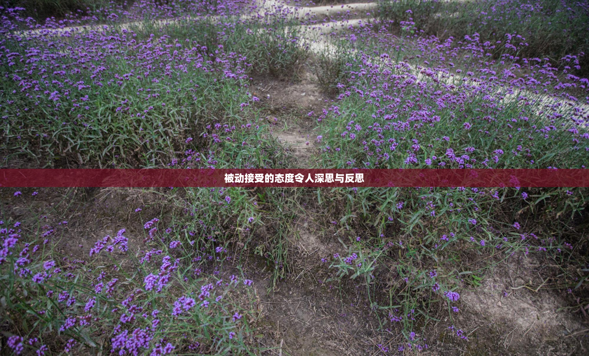 被动接受的态度令人深思与反思