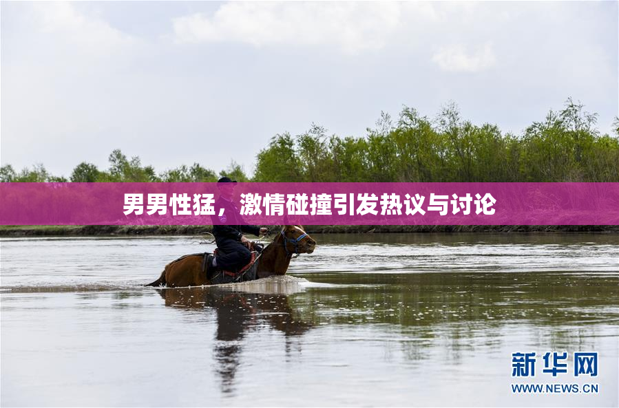 男男性猛，激情碰撞引发热议与讨论