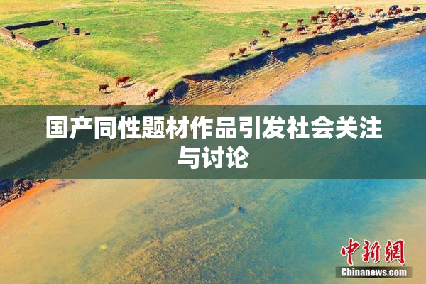 国产同性题材作品引发社会关注与讨论