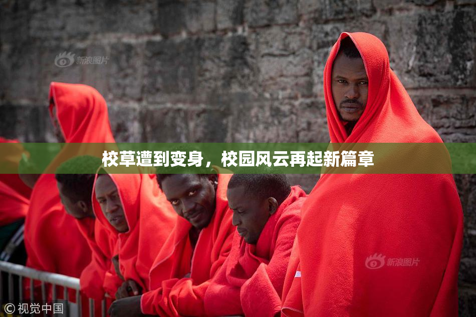 校草遭到变身，校园风云再起新篇章