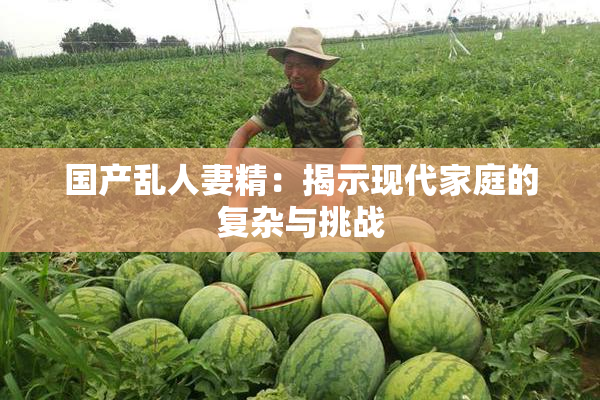 国产乱人妻精：揭示现代家庭的复杂与挑战