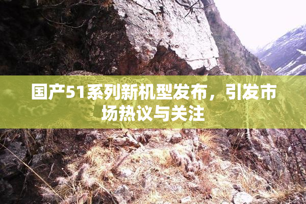 国产51系列新机型发布，引发市场热议与关注