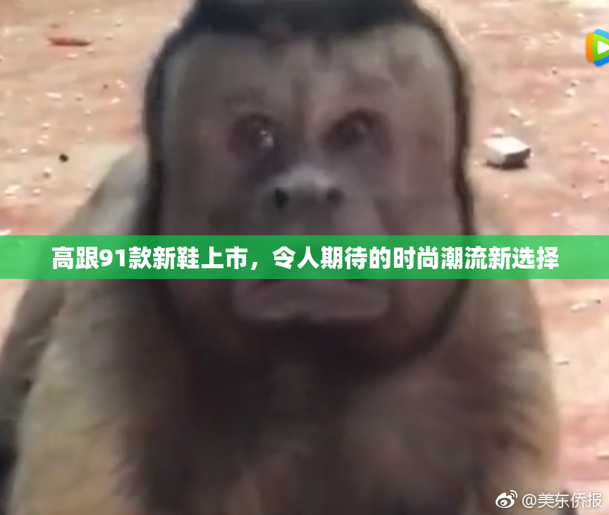 高跟91款新鞋上市，令人期待的时尚潮流新选择