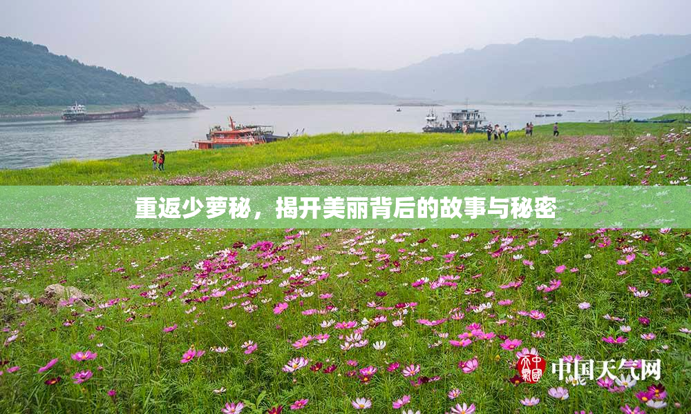 重返少萝秘，揭开美丽背后的故事与秘密