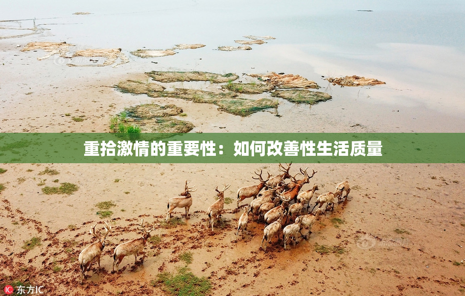 重拾激情的重要性：如何改善性生活质量