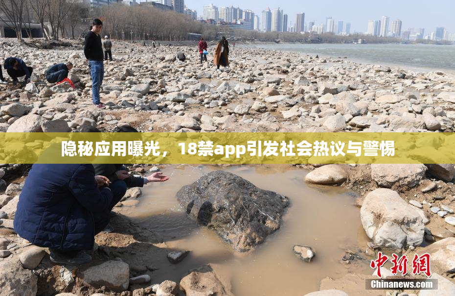 隐秘应用曝光，18禁app引发社会热议与警惕