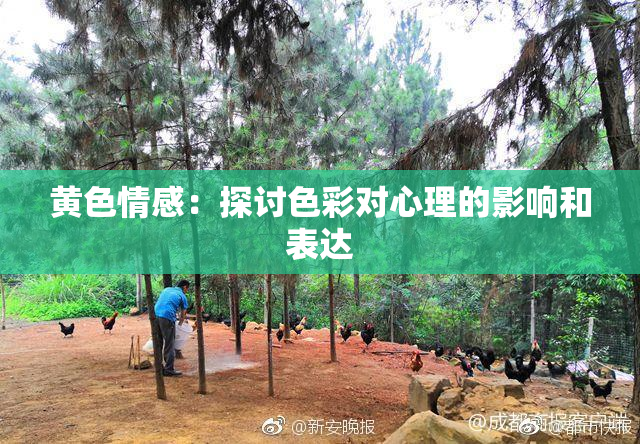 黄色情感：探讨色彩对心理的影响和表达