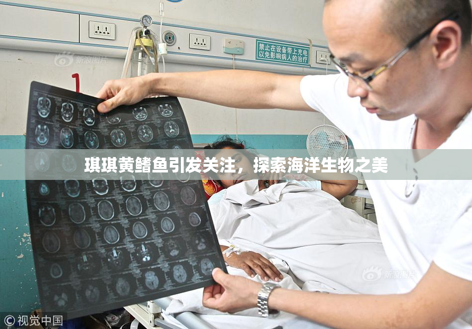 琪琪黄鳍鱼引发关注，探索海洋生物之美