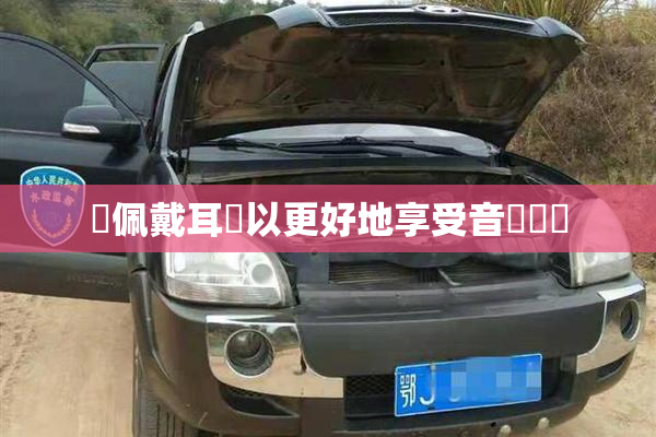 請佩戴耳機以更好地享受音樂體驗